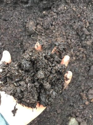 Shredded Farmyard Manure