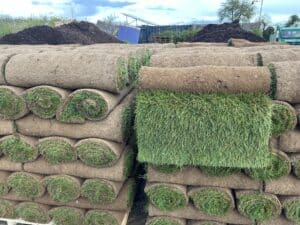 Bar Gold Superior Turf
