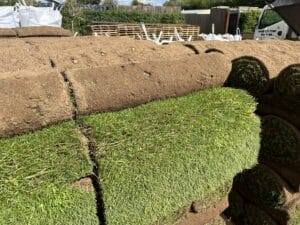 Play Lawn Turf/ Greenscapes turf