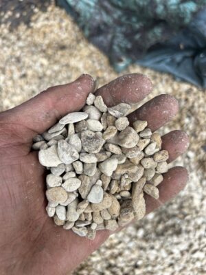 Small Shingle
